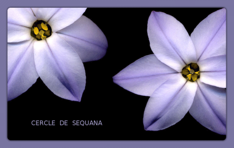 Sequana